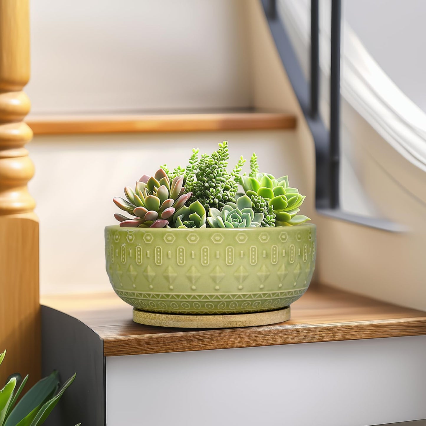 Fivepot Bonsai Tree Pot - 8 Inch Ceramic Succulent Pots with Drainage Hole and Saucer, Boho Round Shallow Planter Bowl for Indoor Plants Flower, Office Decor, Gifts for Women & Men, Green