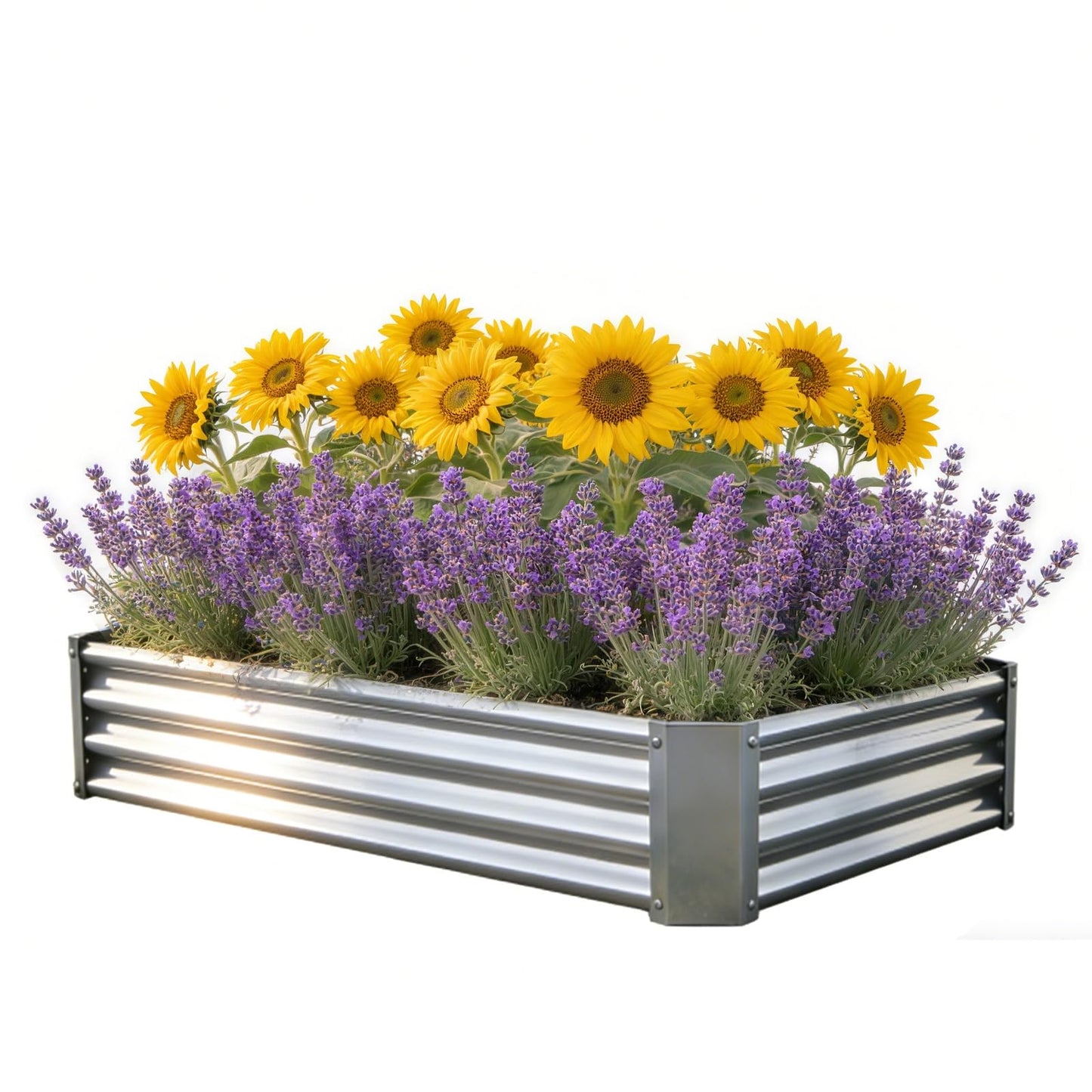 VERFARM Metal Galvanized Raised Garden Bed Kit, 4 x 2 x 1 ft Galvanized Steel Raised Garden Planter Box Outdoor with Open Base for Growing Vegetables/Flowers/Herbs/Fruits/Succulents, Rectangle, Silver