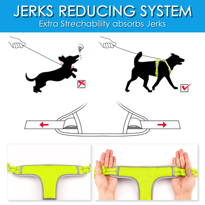 ThinkPet No Pull Harness Set Breathable Sport Harness with Handle - Reflective Padded Dog Safety Vest with Reflective Neon Dog Leash M Harness Leash Pack Green