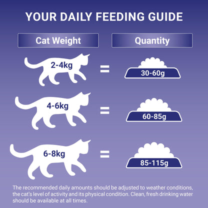 PURINA ONE Chicken Dry Cat Food 6kg