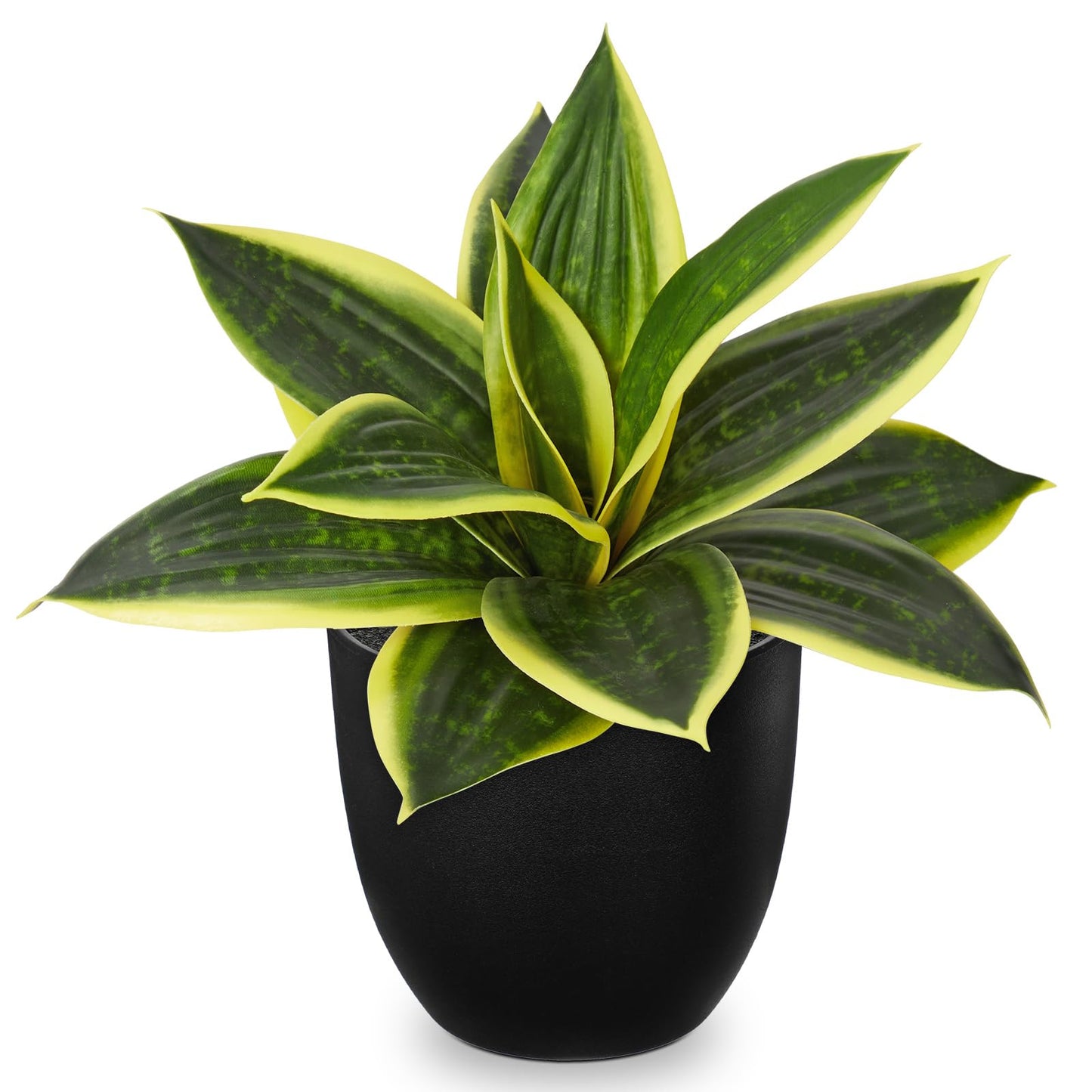 Hollyone Artificial Snake Plants 9" Faux Agave Succulent Plant Potted in Black Pot Fake Sansevieria Aloe Tropical Plant for Desk Modern Office Home Bathroom Indoor Outdoor Decor