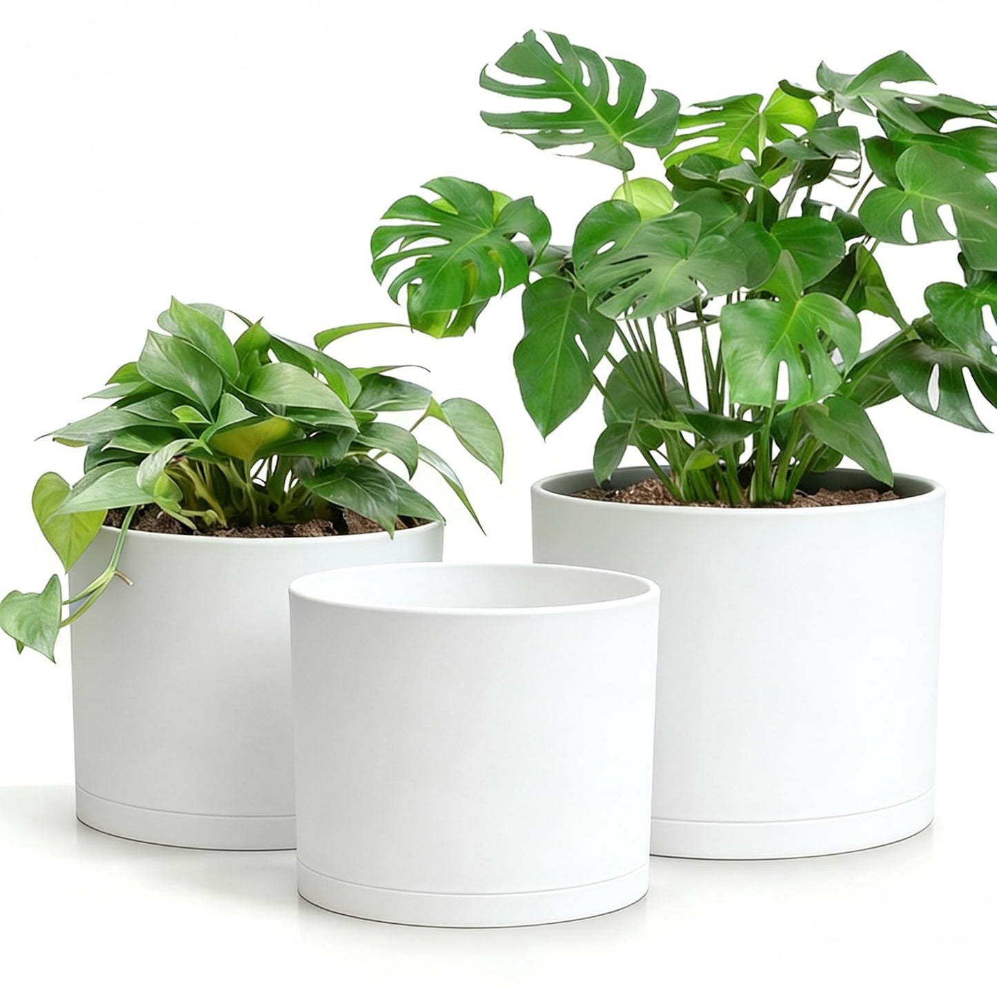 DGJDLWHX Large Plant Pots Set of 3 – 8", 9", 10" Indoor Flower Pots with Drainage Holes and Saucers, Big Planters for Monstera, Fiddle Leaf Fig, Snake Plant – 5 Colors