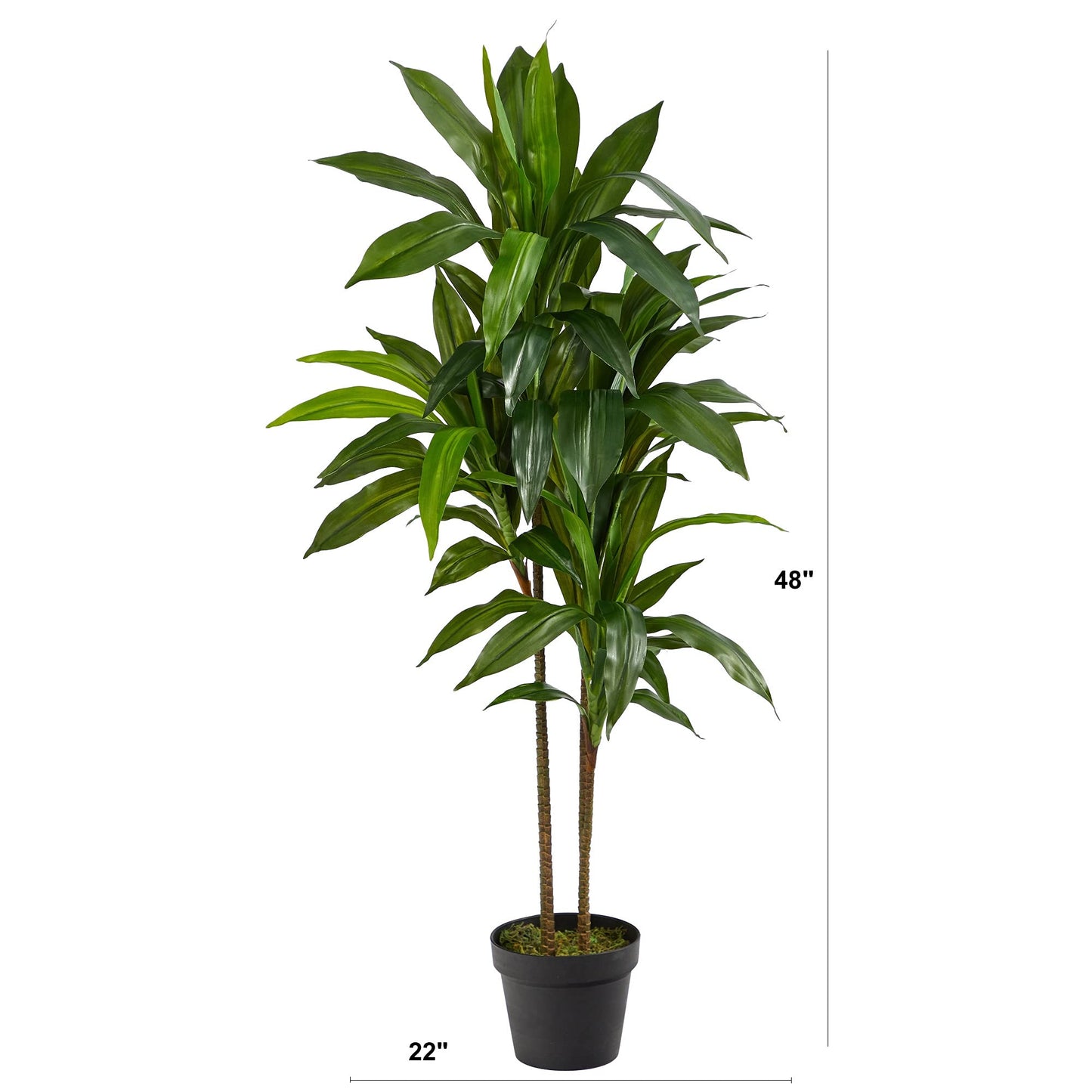 Nearly Natural 48in Artificial Dracaena with Real Touch Leaves and Multi Tonal Trunks, Large Indoor Silk Plant with Pot, Maintenance Free For Living Room And Home Office Decor