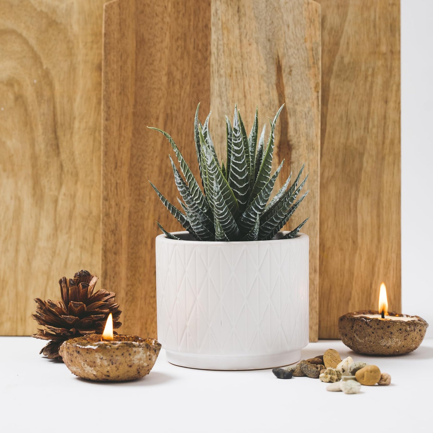 Artificial Succulent Plant in Matte White Ceramic Pot | 7" high Dark Green Aloe Plant | Great as desk decor or bathroom decor | beautiful realistic faux succulent with no maintenance