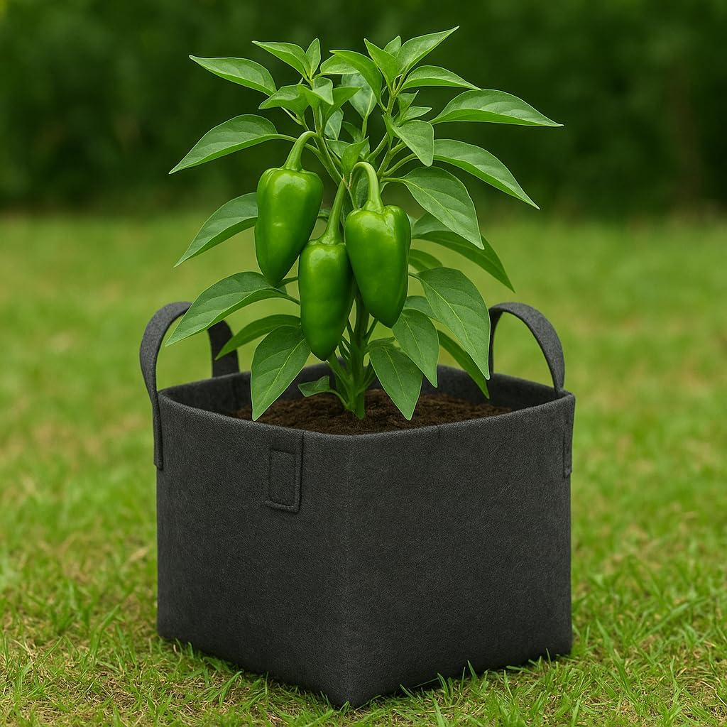 HYK MART Square Geo Fabric Grow Bag 400 GSM Durable Breathable UV Resistant Reusable Plant Container for Herbs, Vegetables Flowers Space Saving Gardening Pack of 2 (15 inch) (Black)