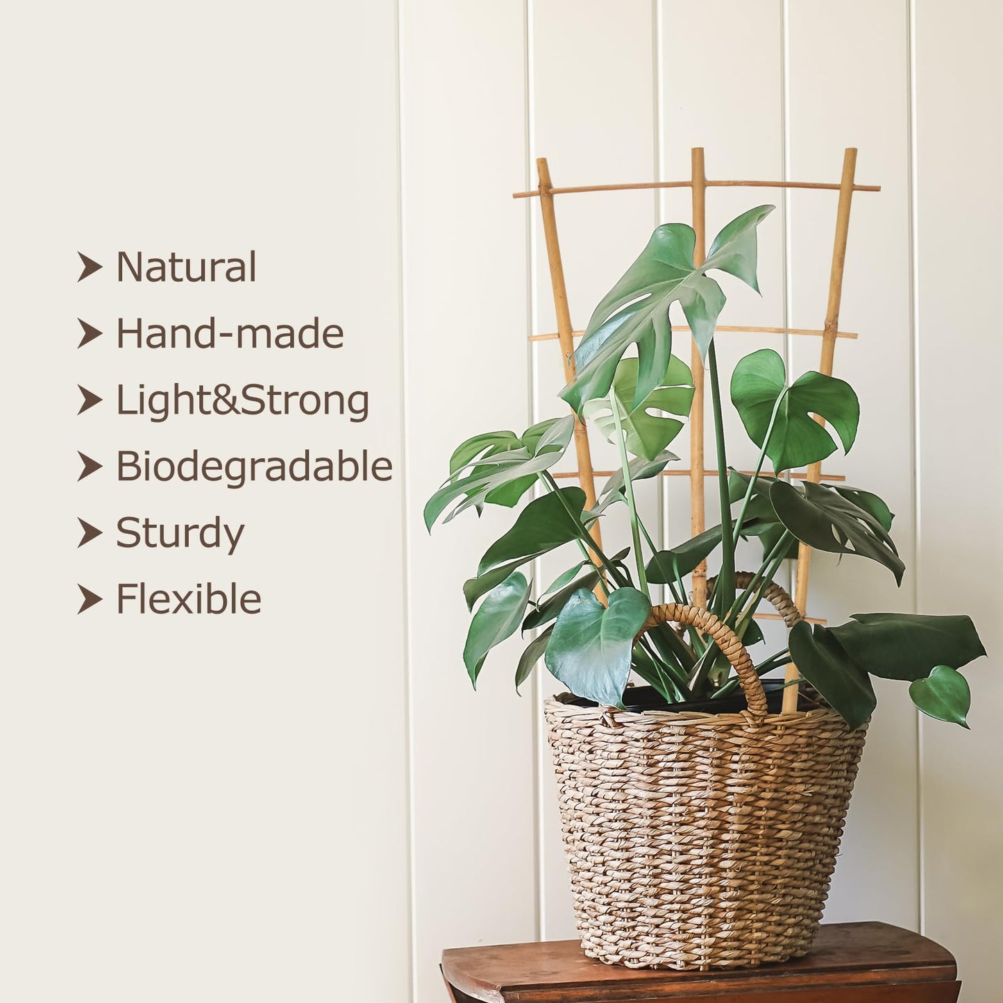 Cambaverd Plant Trellis Indoor, 3 Pack Bamboo Trellises, 16in Fan-Shaped Trellis for Potted Plants Climbing Plants Hoya Vine Ivy