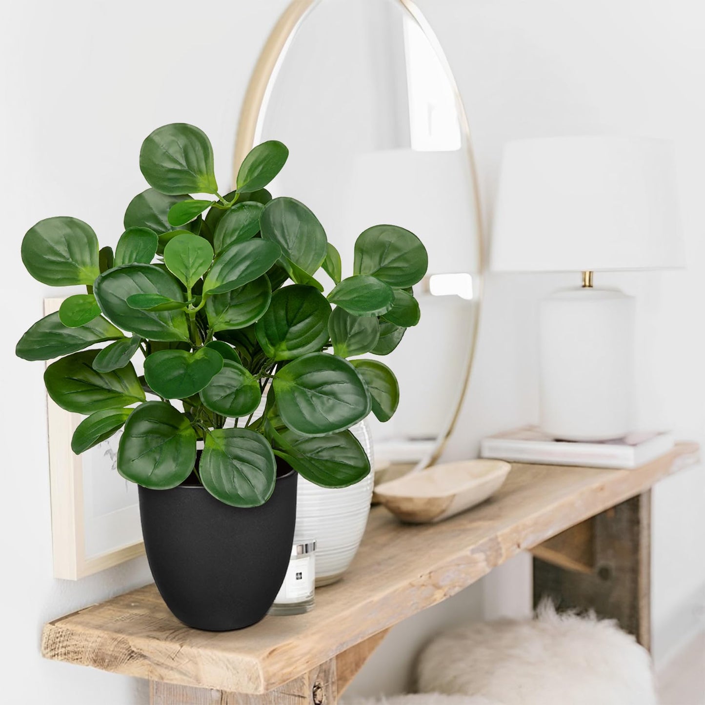 Villa Como 14.5" Artificial Plants Indoor Home Decor, Fake Potted Silk Plants for Shelves Living Room Decorative, Small Artificial Office Desk Plants in Pots, Faux Peperomia Hope Tropical House Plant