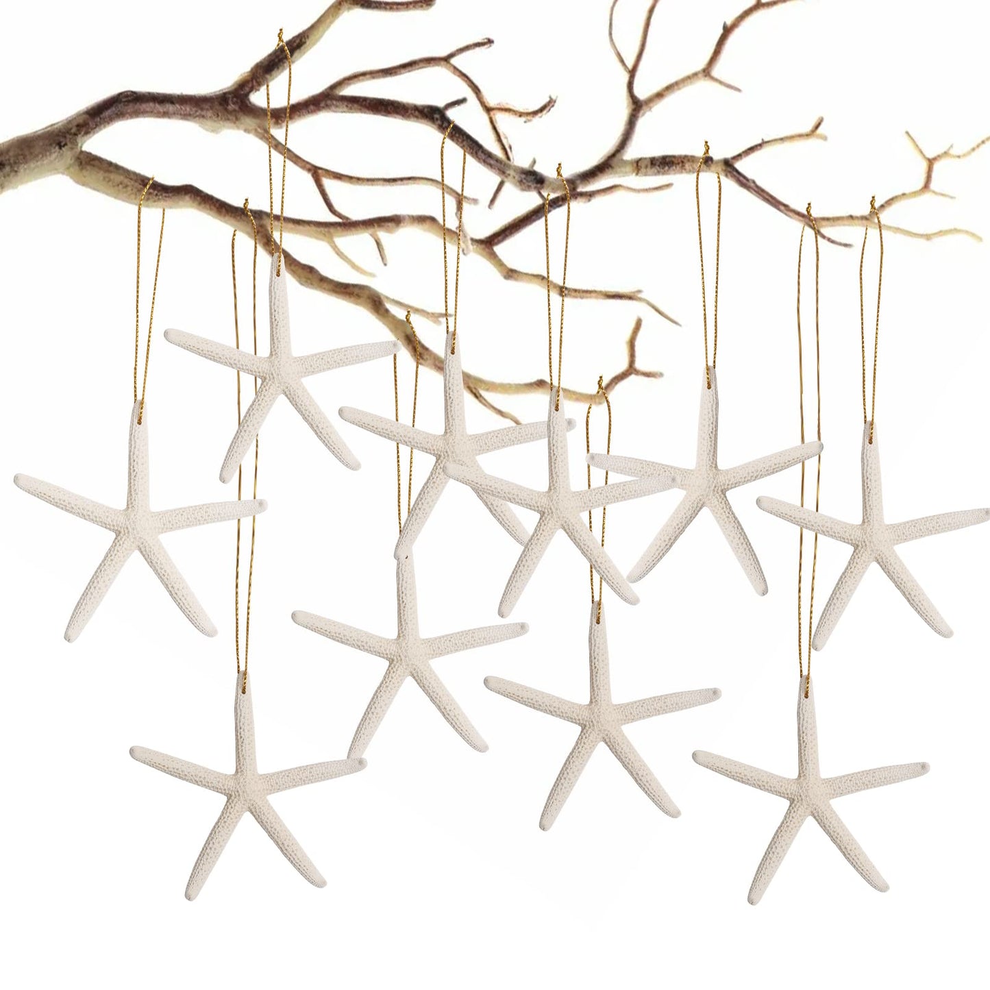 20PCS Starfish for Crafts 3"-4" Small Starfish Decor with Drilled Holes Star Fish Bulk Hanging Ornaments for Wedding DIY Christmas Tree Decor, Natural