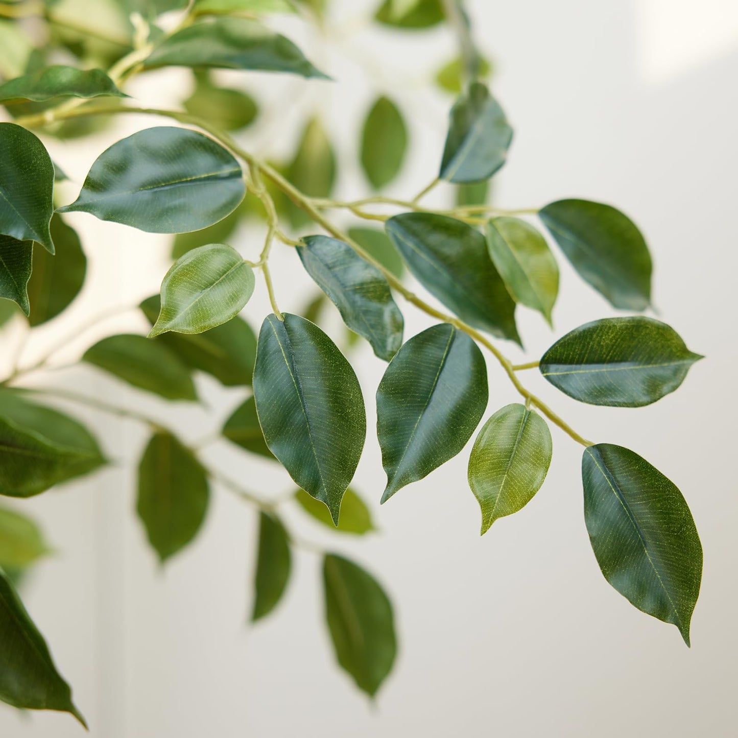VeriNatural 8FT Artificial Ficus Tree, Faux Plants Indoor Fake Trees Artificial - Potted Fake Ficus Tree with Realistic Leaves and White Planter,Floor Plant for Home Decor, Office Entryway