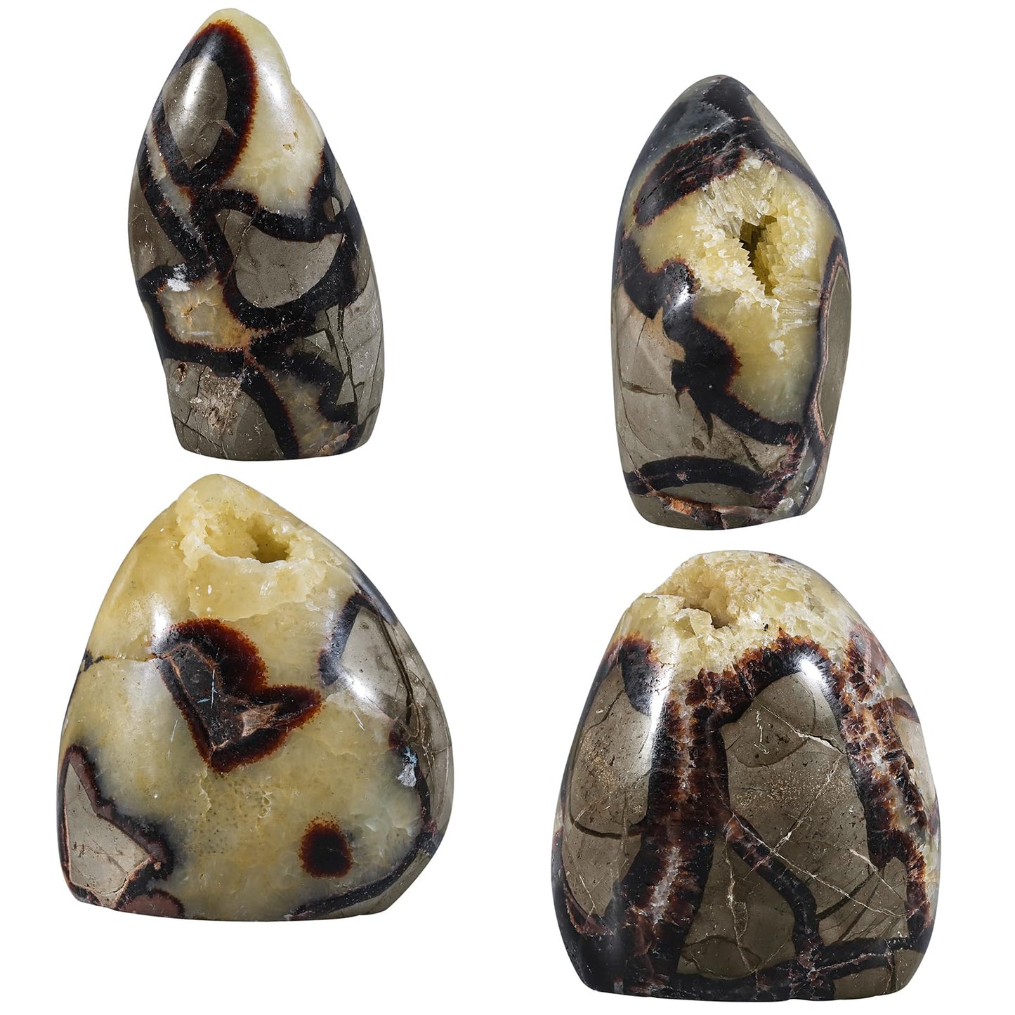 TUMBEELLUWA Natural Septarian Dragon Stone Crystal Geode Cluster, Irregular Mineral Specimen Crystals and Healing Stones for Home Room Decor, 60-100 mm
