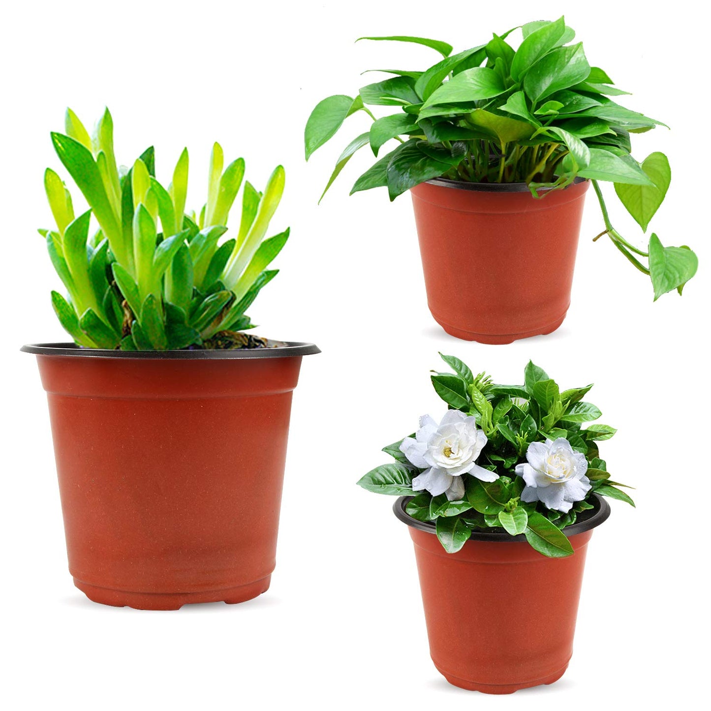 Augshy 130 Packs 6 Inches Plastic Plant Nursery Pots, Seed Starting Pot Flower Container for Succulents, Seedlings, Cuttings, Transplanting, Planter Home Docer