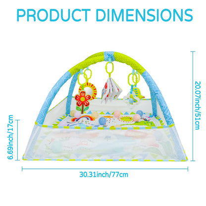 Dr.Rapeti Baby Play Mat, Activity Baby Play Gym with Arch, Playmats & Floor Gyms, Detachable Mirror, Soft Book and Balls Toys, Thick Non Toxic Playmats