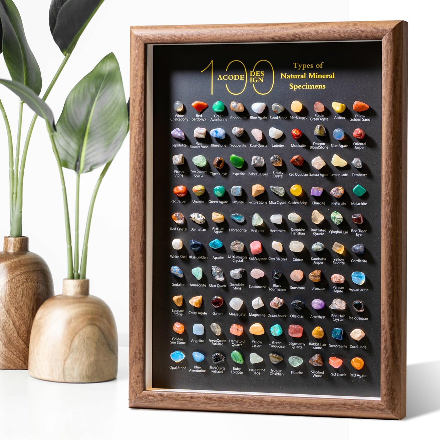 ACODE Natural Mineral Specimen Shadow Box, Geology Collection Display Case, Home Decor Wall Art Tabletop Display with Real Rocks Crystals, Gift for Birthday Christmas Housewarming Children's Day