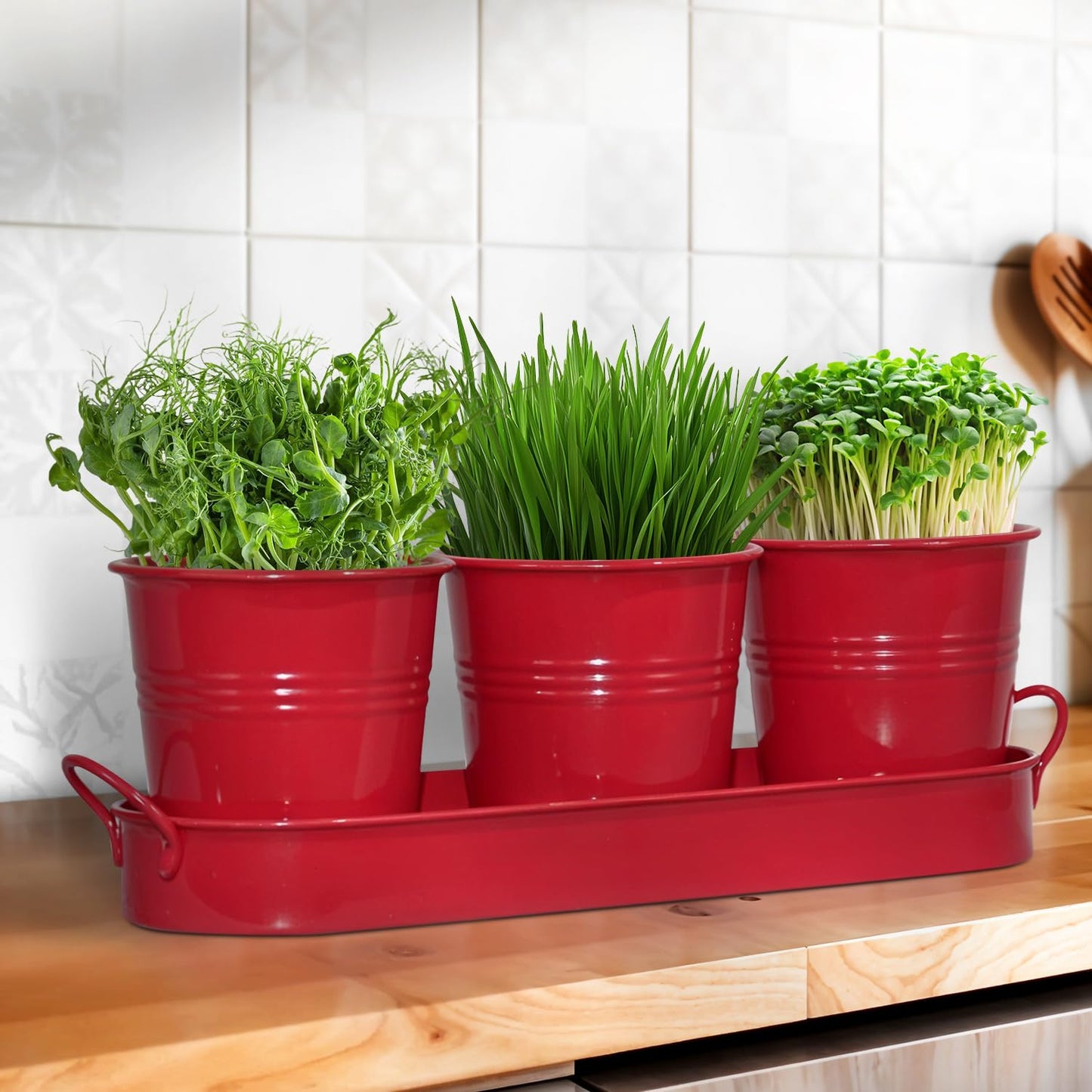 Plexon Herb Planter Indoor Garden Set of 3 with Tray, Metal Herb Pots for Indoor Plants, Round Kitchen Garden Kit Ideal for Windowsill Planter or Countertop, Red Powder Coated