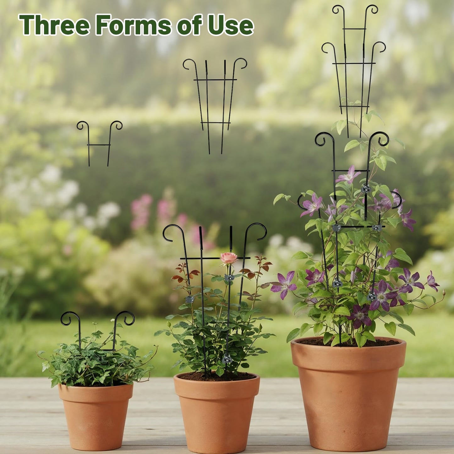 25.6 Inch Plant Trellis for Climbing Plants, 4 Pack Metal Garden Trellis for Potted Plants Indoor House Plant Climber Support Stakes with Plant Clips for Monstera Pothos Hoya Ivy Flower