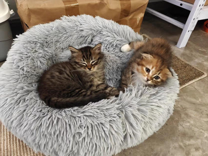 TOHDNC Cat Dog Bed Round 50 cm, Calming Fluffy Plush Cat Bed Anti Anxiety Cozy Donut Pet Bed Cuddler with Non-Slip Bottom Small Medium Dogs and Cats