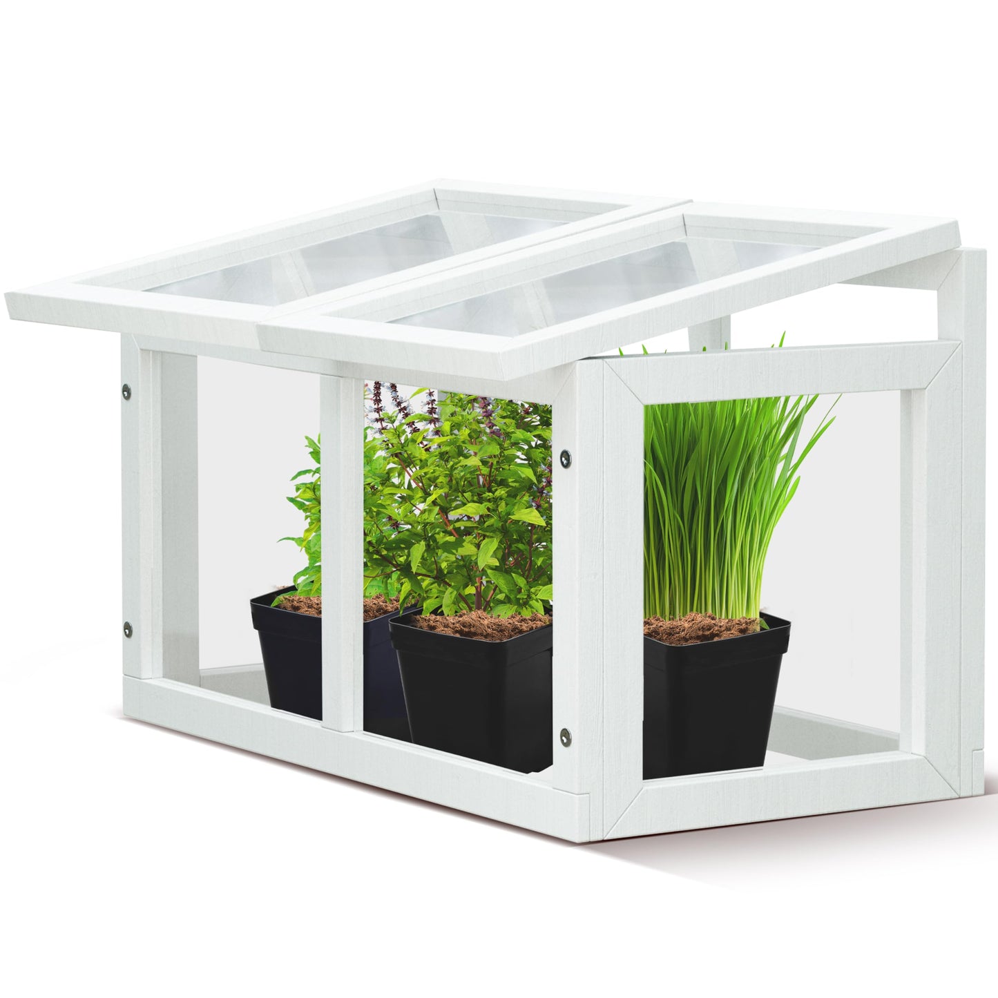 Mini Tabletop Greenhouse 12"x8" – Compact Indoor Plant House with Clear Acrylic Panels & Wood Frame with 4" Pots for Herbs, Seedlings, Cuttings & Propagation - Cat Safe