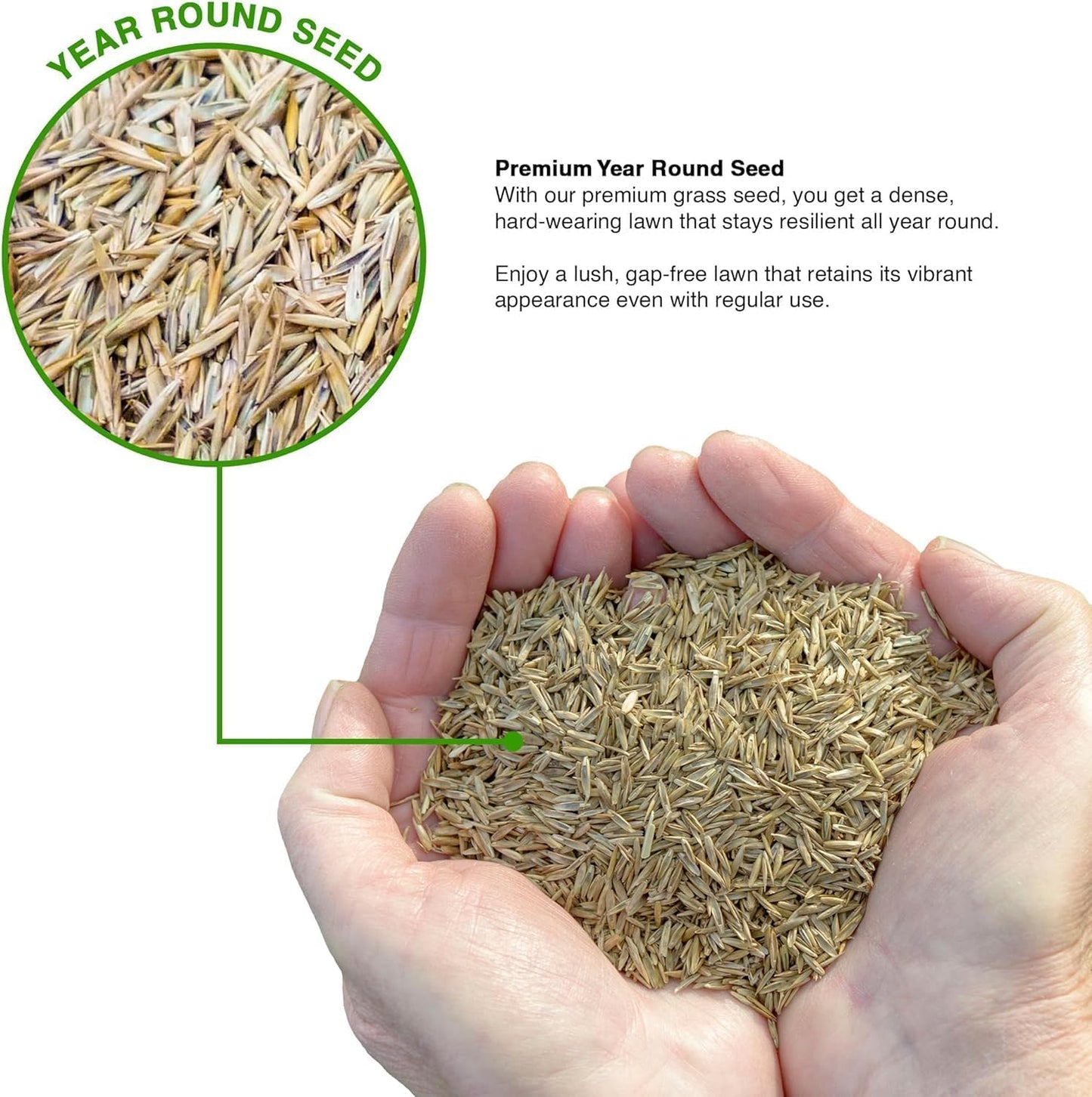 GroundMaster Premium Lawn Grass Seed – 1KG Hard Wearing & Fast Germination Grass Seeds for Family Lawns and Gardens, Coverage up to 60M2 for Overseeding, Tough Lawn Seed Mixture, Pet-Friendly