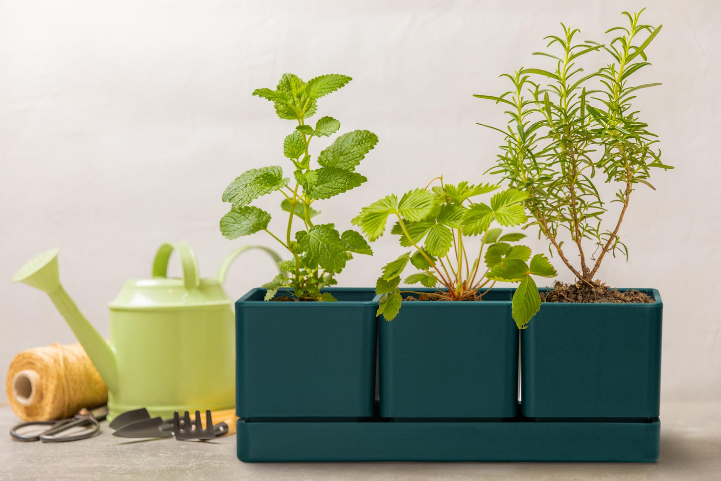 D'vine Dev Herb Garden Planter Set, Plastic Plant Pots with Drainage and Saucer, Indoor Succulent Cactus Vegetable Pot for Windowsill, Garden Balcony, Green, Set of 1, 76-V-C-1