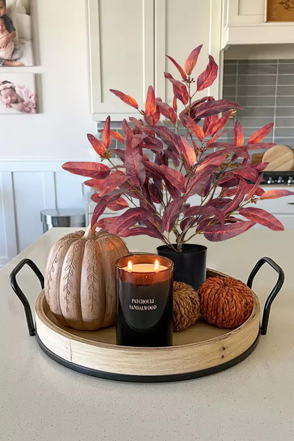 Briful Artificial Plant Farmhouse Table Decor, Burgundy Eucalyptus Plant Home Indoor Decor, Fake Plants for Office Coffee Living Room Decorations