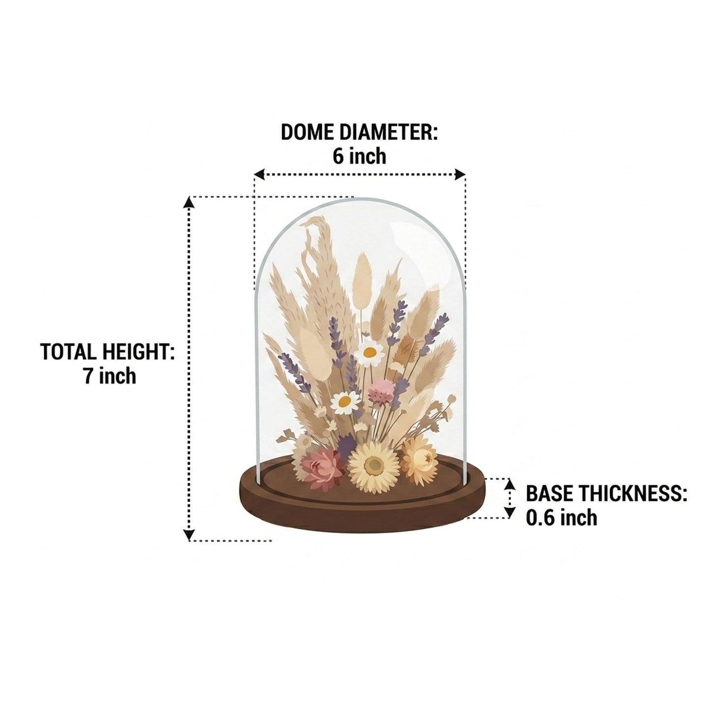 SAN3Kings Glass Cloche Bell Jar Display Dome with Brown Wooden Base, 6x7 Inch Clear Glass Display Case with Wood Stand for Home Decor, Plants, Succulents, Collectibles, Preserved Flowers, Centerpieces