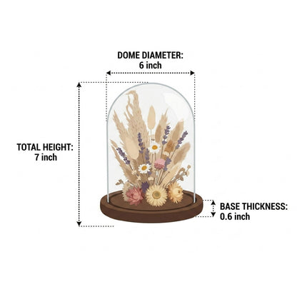 SAN3Kings Glass Cloche Bell Jar Display Dome with Brown Wooden Base, 6x7 Inch Clear Glass Display Case with Wood Stand for Home Decor, Plants, Succulents, Collectibles, Preserved Flowers, Centerpieces