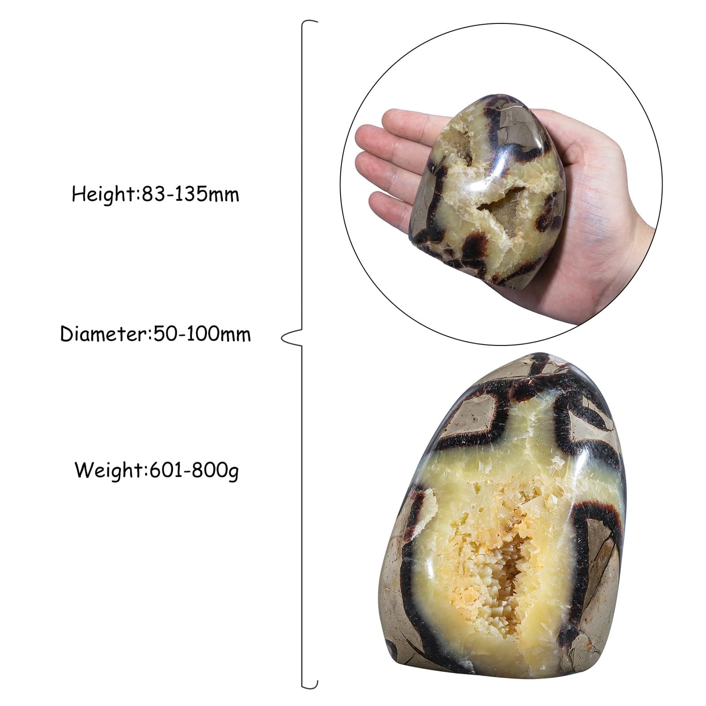TUMBEELLUWA Natural Septarian Dragon Stone Crystal Geode Cluster, Irregular Mineral Specimen Crystals and Healing Stones for Home Room Decor, 83-135 mm