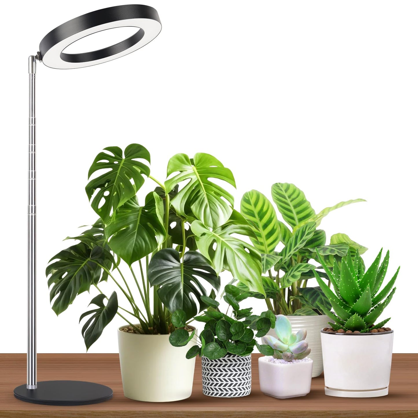 GTRUIIDY Desktop Grow Light, Height Adjustable Grow Lights for Indoor Plants Full Spectrum, 3 Lighting Mode, Halo Grow Light with Timer, Plant Lights for Indoor Growing (Black)