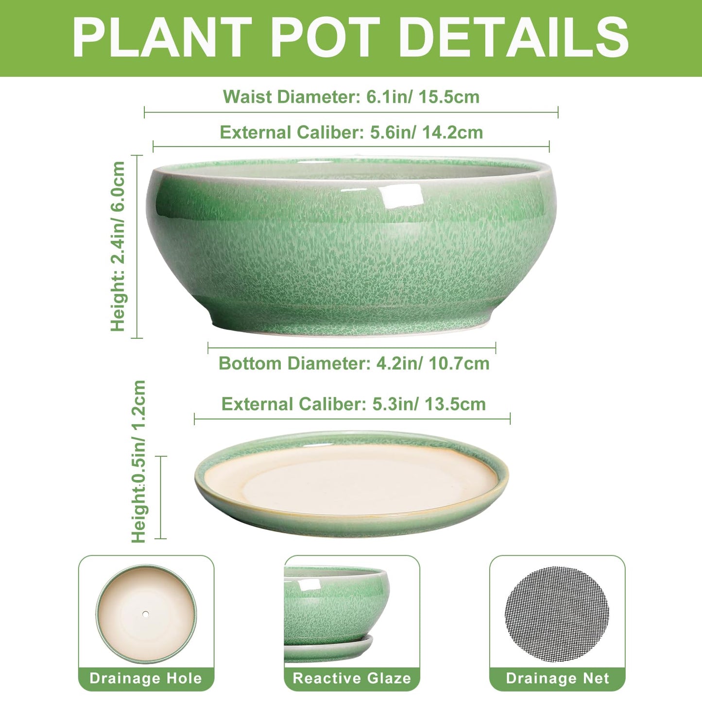 SQOWL Succulent Pots 6 Inch - Ceramic Bonsai Planter for Indoor Plants Outdoor, Shallow Planter with Drainage Hole and Tray, Round Planters for Cactus Flower, Office Decor, Gardening Gifts, Green