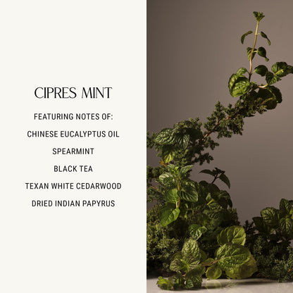 Homecourt Luxury Scented Candle, Cipres Mint Scent, 60-Hour Burn Time, Soy Wax Blend, Lavender, and Vanilla Aroma, Kiln-Fired Reusable Ceramic Vessel, 8 Oz, 2.0