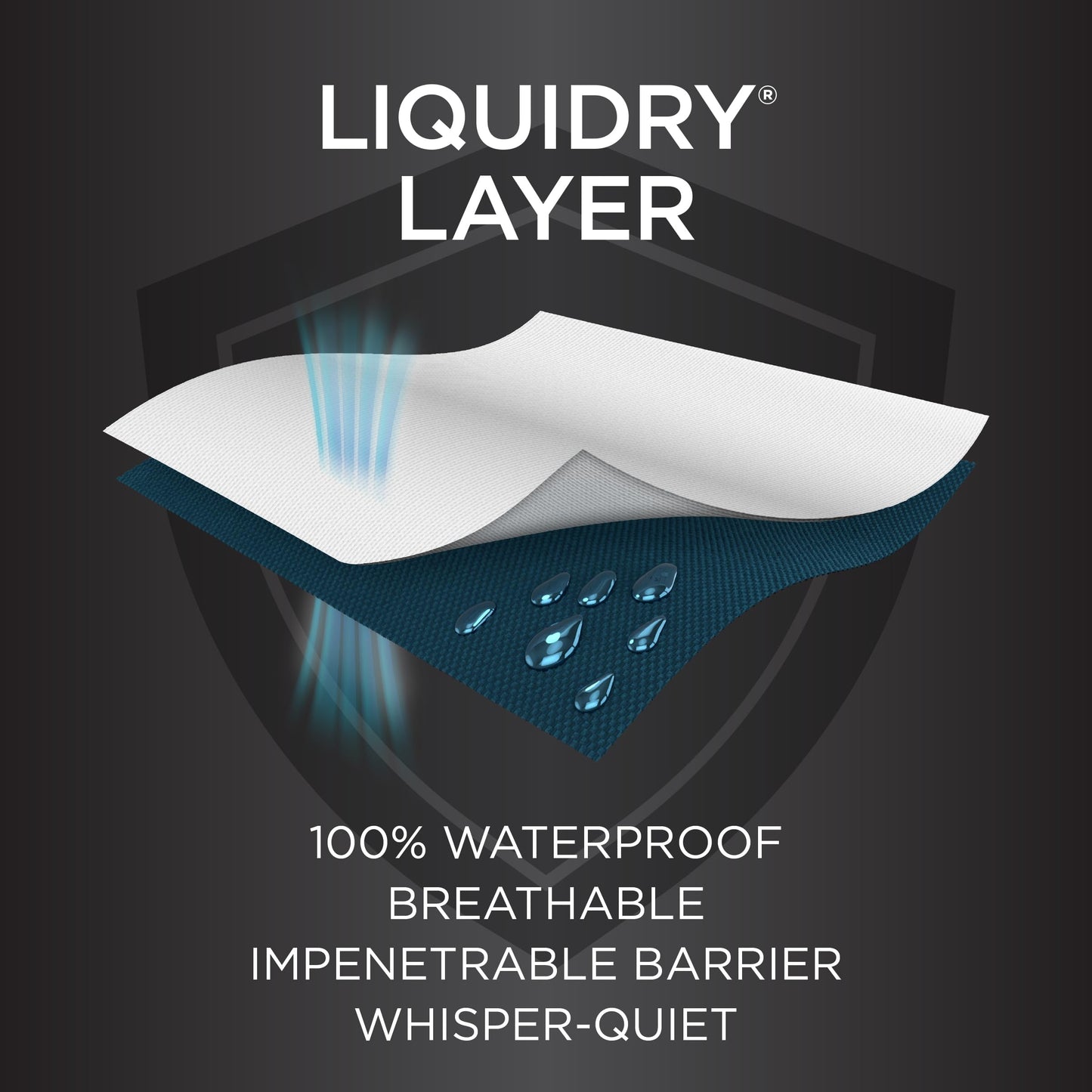 Protect-A-Bed Essential Mattress Protector Queen, Dust Mite Resistant, Noiseless and Odor-Resistant Mattress Cover, 100% Waterproof Top, Machine Washable, Fits 11"-18" Mattresses