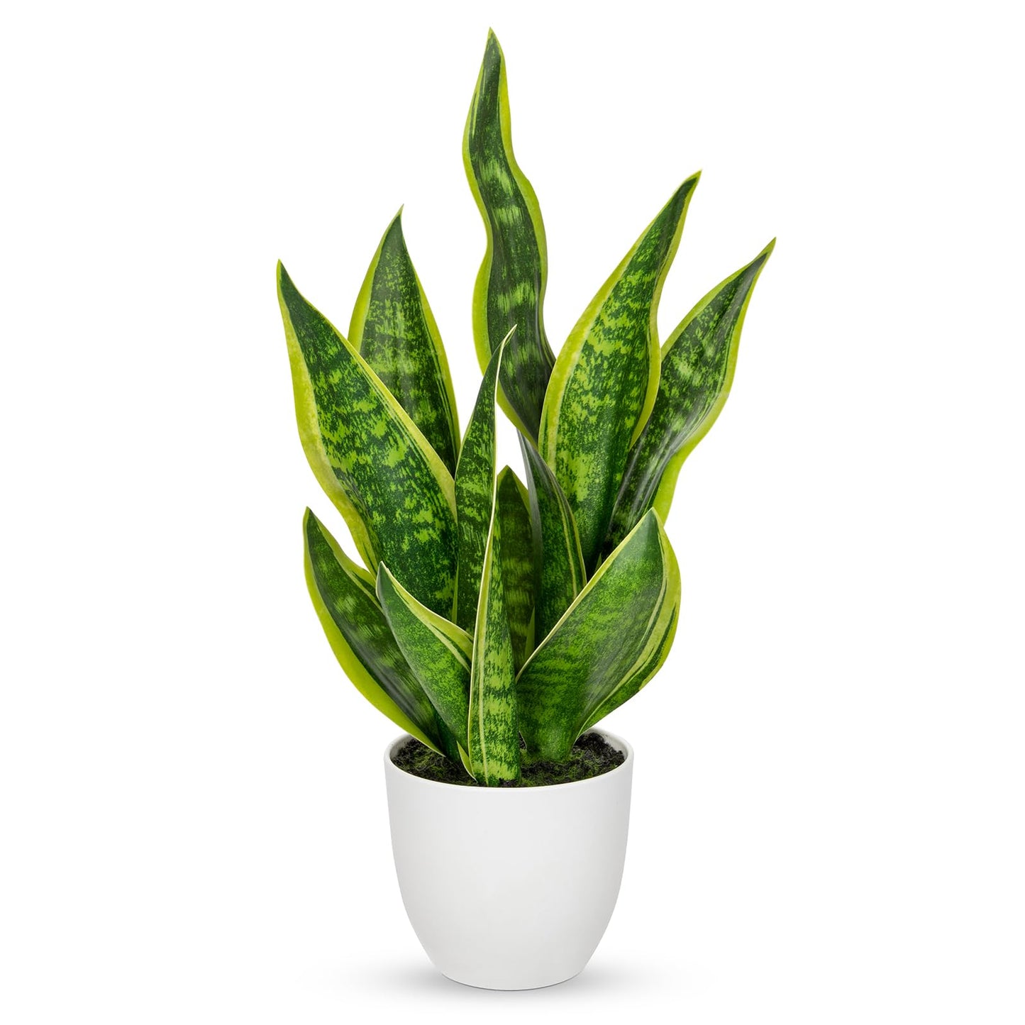 Hollyone Artificial Snake Plant Potted Faux Sansevieria Trifasciata Plants, 18" Tropical Fake Plants in White Pots for Home Office Room Indoor Decor Housewarming Gifts