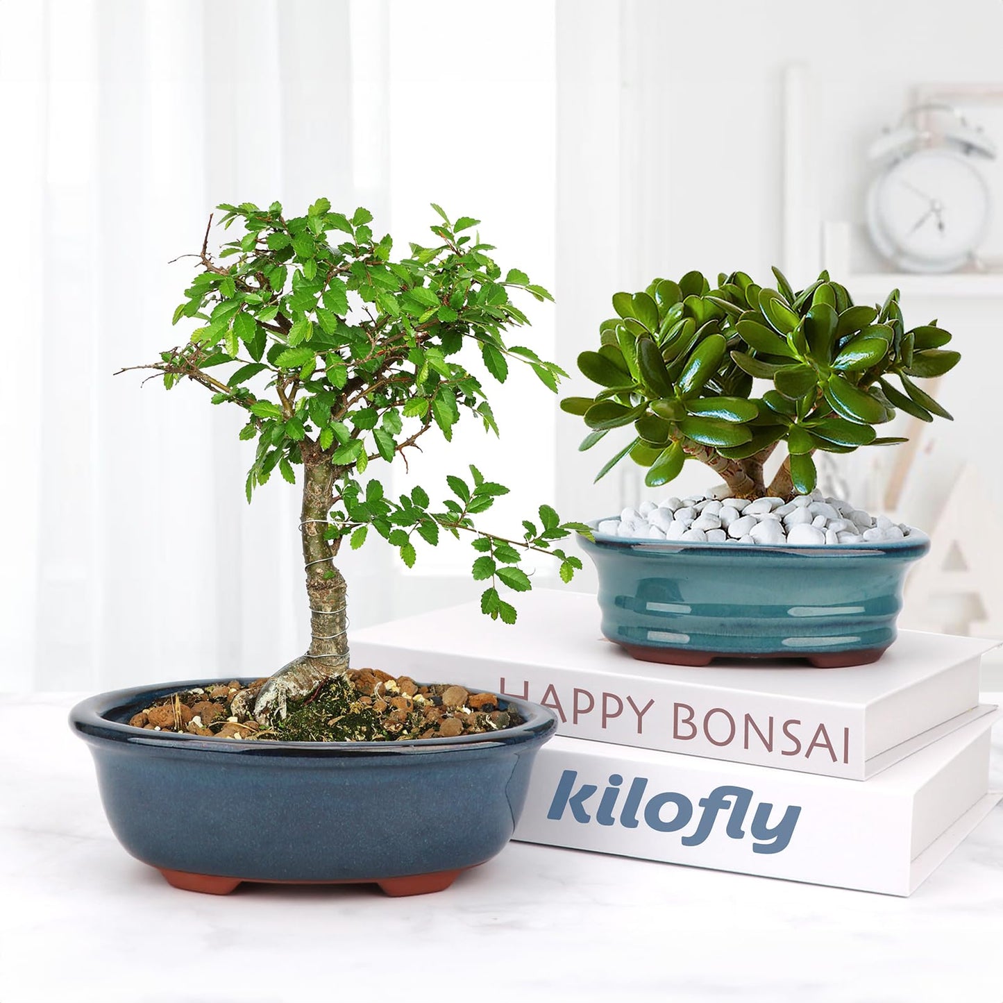 Bonsai Planter Succulent 5.7" 7" Glazed Pots, Value Set of 2 + 4 Soft Mesh Drainage Screens