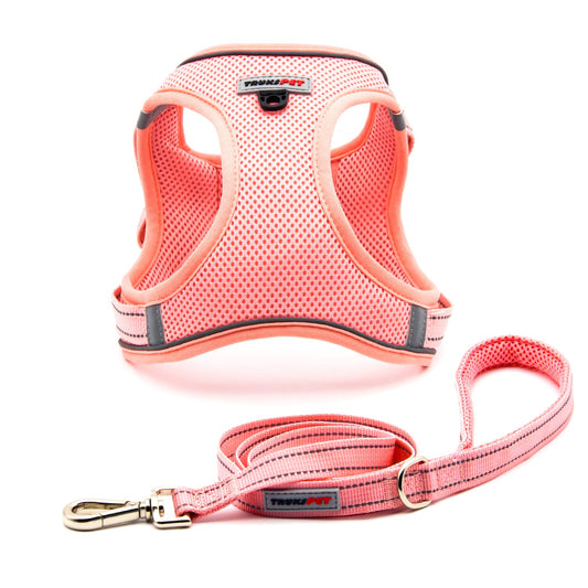 TRUKSPET Dog Harness and Leash Set, Step in no Pull Dog Harness Adjustable Reflective Padded Mesh Fabric Dog Vest for Extra-Small/Small Medium Dogs and Cats-XS-Pink