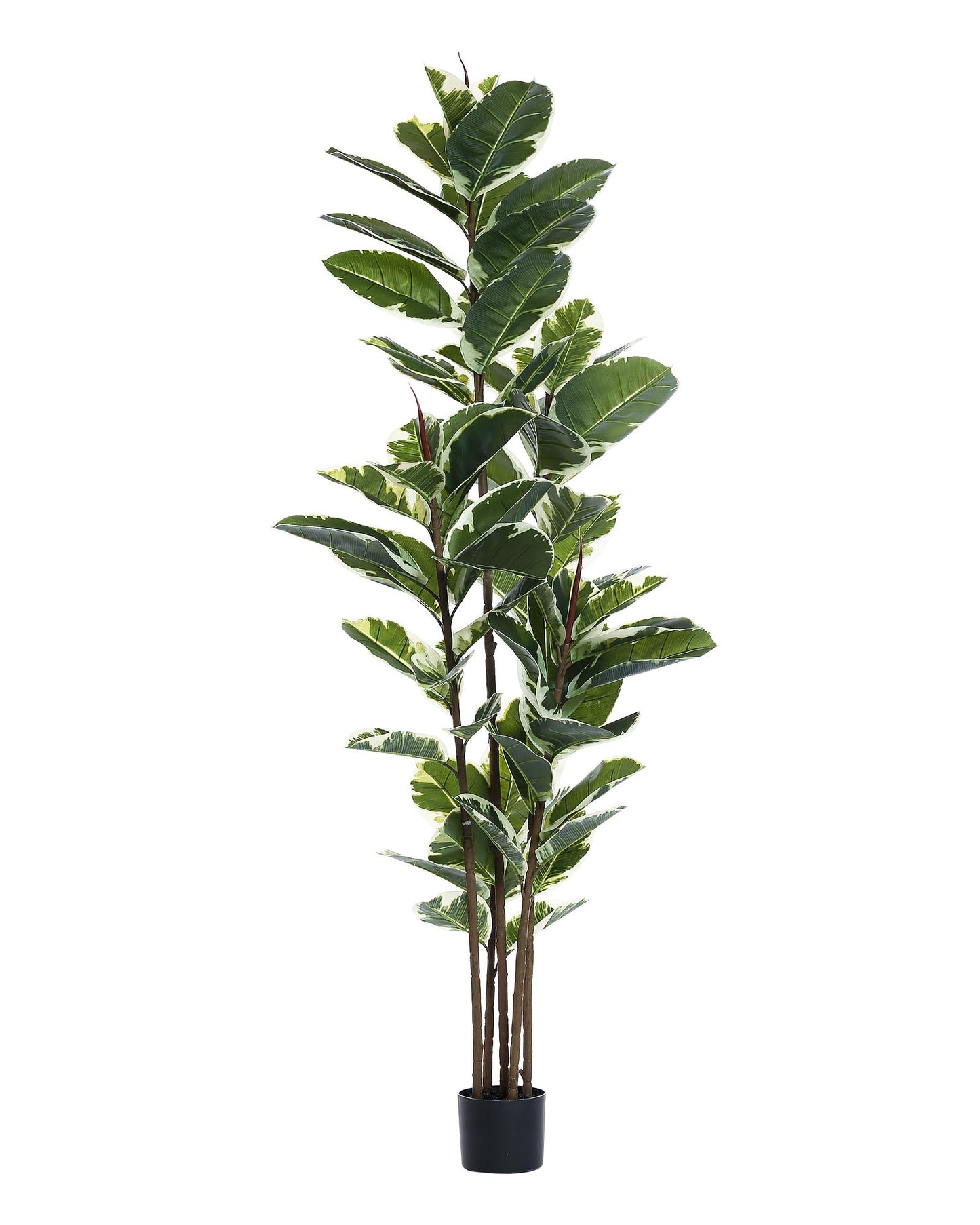 FLOWORLD Artificial Rubber Tree Plant 6ft Tall Faux Ficus Tree Potted Fake Tropical Plants Decorative House Plants Large Floor Artificial Trees for Home Office Decor, Without The Pot