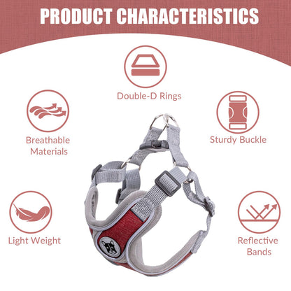 Patas Lague Dog Harness with Leash Set for Small Medium Dogs, No Pull No Choke Reflective Step in X Head Pet Harness Vest with Poop Bags and Dispenser, Adjustable and Padded, Red Medium