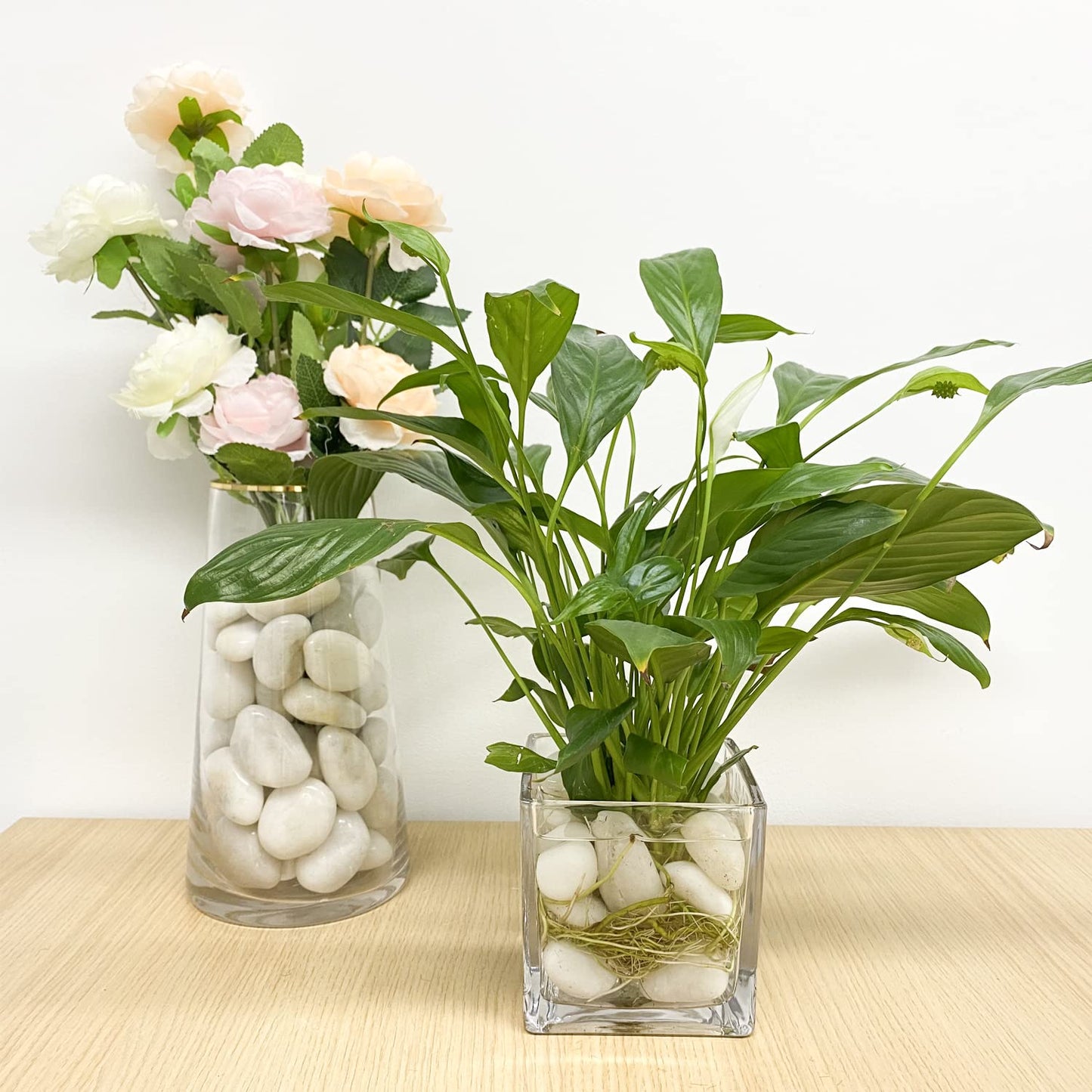 FANTIAN 10 lbs White River Rocks, 1-2 Inch Polished Pebbles for Indoor Plants, Decorative White Stones for Plants, Vase, Aquarium, Fish Tank, Landscaping and Garden