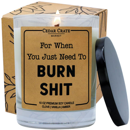 for When You Just Need to Burn S | Funny Candles for Adults | Profanity Candles | Naughty Birthday Candle for Men, Women | Inappropriate Gifts for Boss Coworkers | Gag Gifts Novelty Gift for Friends