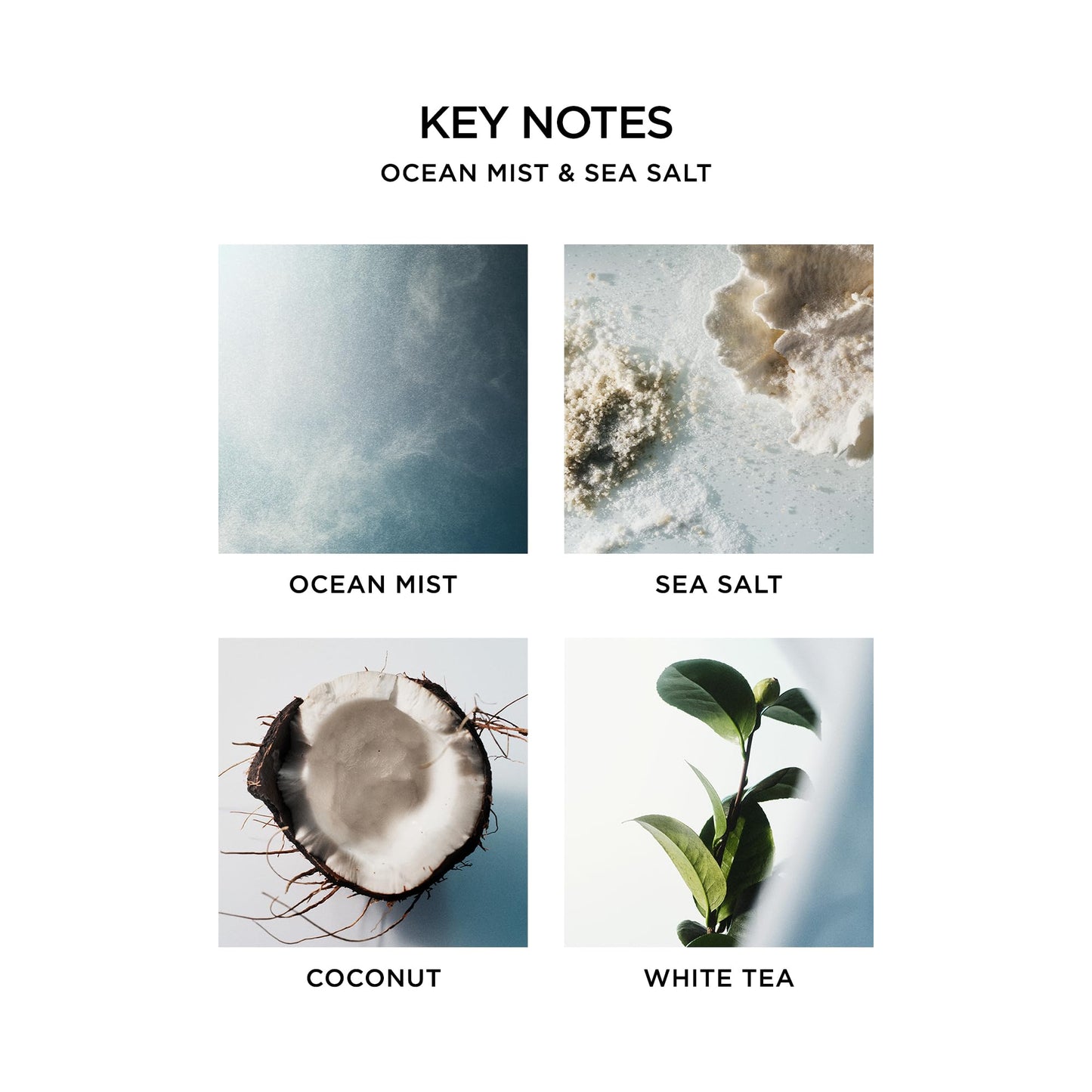 NEST New York Scented Classic Candle Duo, Ocean Mist & Sea Salt - 8.1 oz, Pack of 2 - Up to 60-Hour Burn Time Each - Reusable Glass Vessel