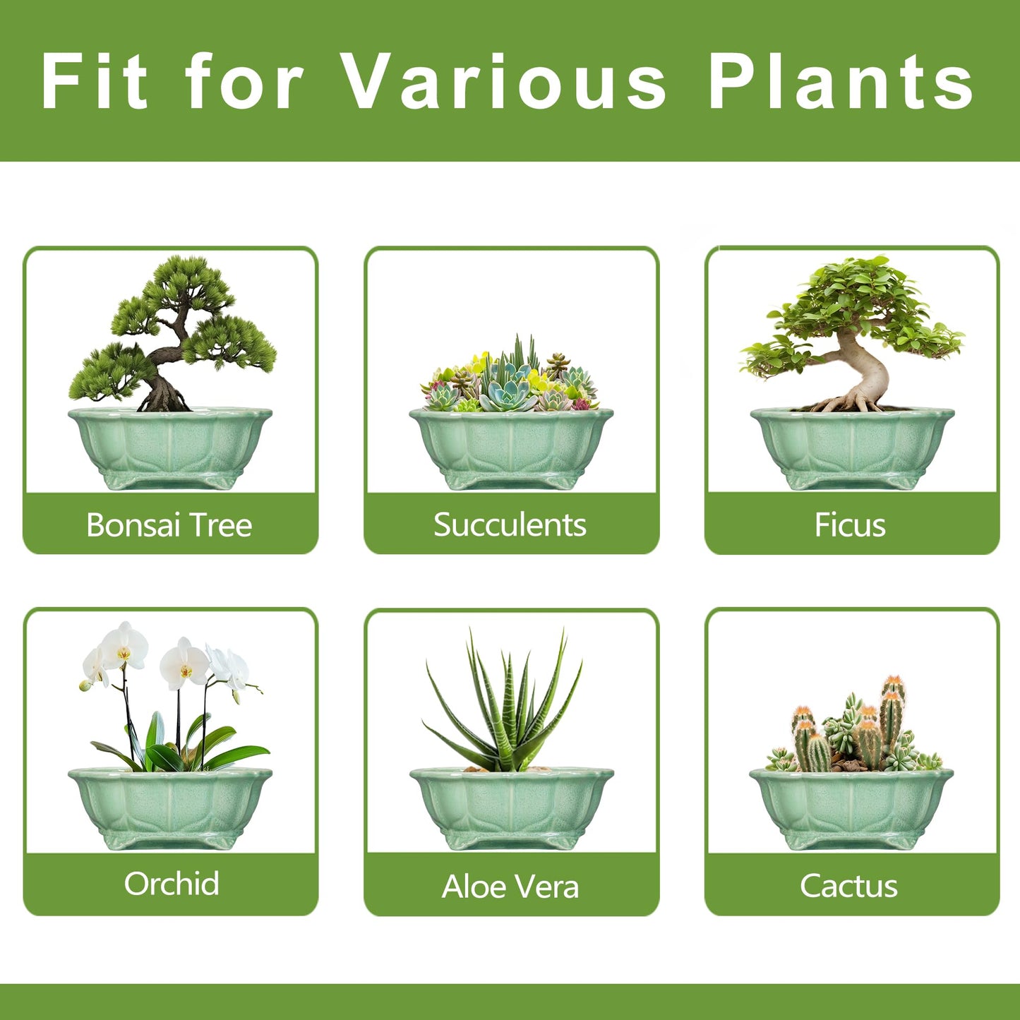 Teagas Bonsai Pots 11 Inch - Ceramic Succulent Pots with Drainage Hole, Oval Planter for Indoor Outdoor, Decorative Ceramic Flower Pot, Home Garden Room Decor, Plant Lover Gifts, Green