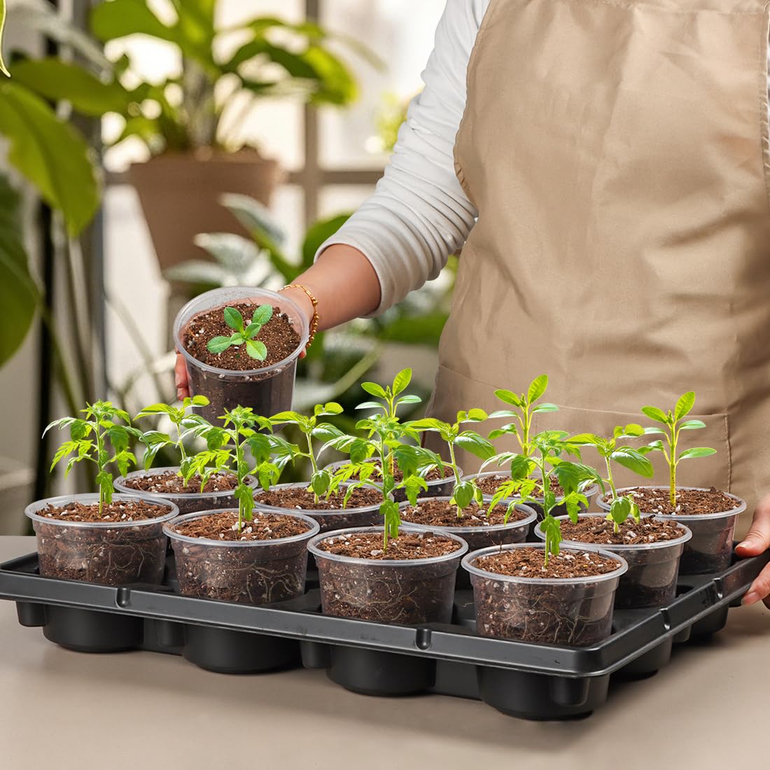 RooTrimmer 12 Cell Nursery Pot Trays 5 Pack with 4 Inch Clear Plant Pots 60 Pack, Thick Sturdy Seeds Starting Germination Shuttle Carrying Trays, Black Small Planter Nursery Propagation 5 Sets
