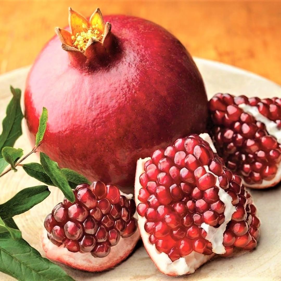 Sweet Pomegranate Tree Live Plant, 5 to 8 Inch Tall, Pomegranate Fruit Tree, Outdoor Plant, Edible Fruits