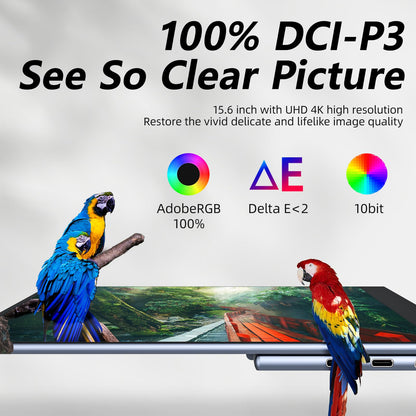 Portable Monitor 15.6" FHD 87% sRGB 60Hz IPS HDR HDMI USB-C Travel Monitor for Laptop MacBook PC Surface PS5 Xbox, External Display with Kickstand & Speakers, VESA Compatible