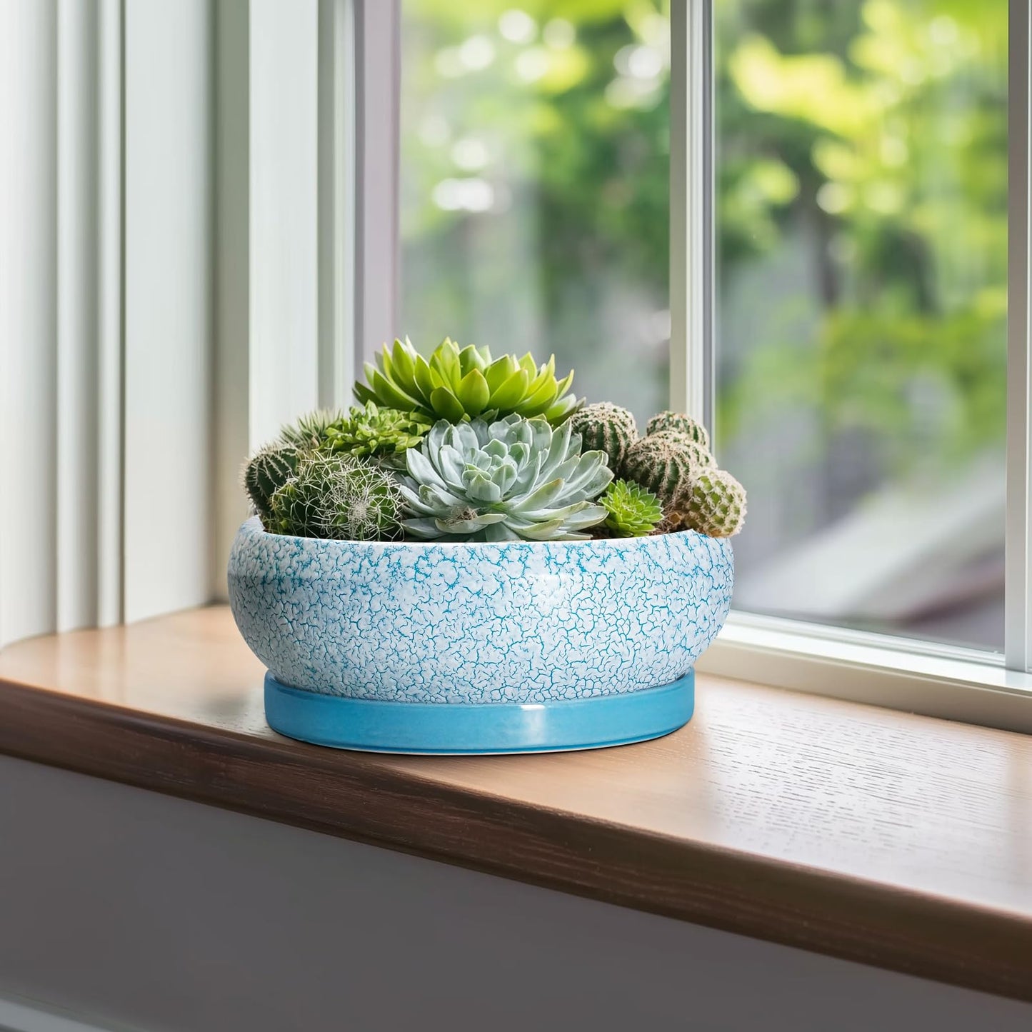 EPFamily Bonsai Pots 10 Inch - Shallow Ceramic Planters for Indoor Outdoor, Succulent Pots with Drainage Hole and Saucer, Round Planter Bowl, Succulent Planter, Garden Decor, Housewarming Gifts, Blue