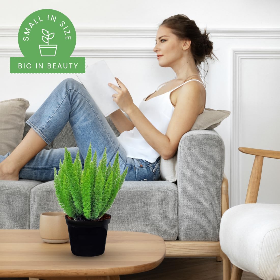 American Plant Exchange Foxtail Fern – 6-Inch Pot – Live Easy Care Tropical Plant with Arching Needle-Like Foliage for Indoor Décor, Patios, Containers, Hanging Baskets & Garden Landscapes
