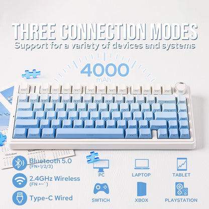 EPOMAKER x Aula F75 Gasket Mechanical Keyboard, 75% Wireless Hot Swappable Gaming Keyboard with Five-Layer Padding&Knob, Bluetooth/2.4GHz/USB-C, RGB (Light Blue, LEOBOG Reaper Switch)