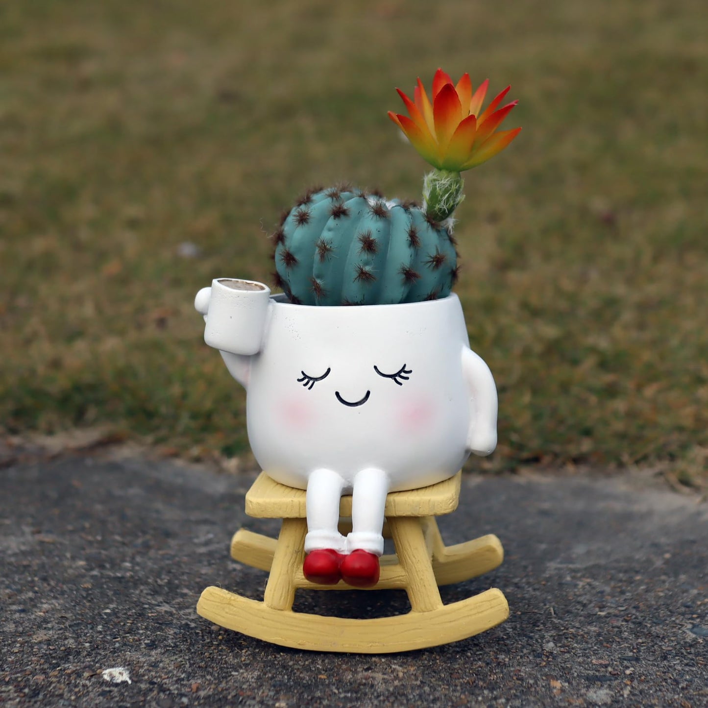Dolkgy Cute Plant Pots Face Planters Set, Fun Head Planters Cactus Succulent Pots for Indoor Outdoor Plants, Unique Flower Vase Gift Kit for Plant Lover