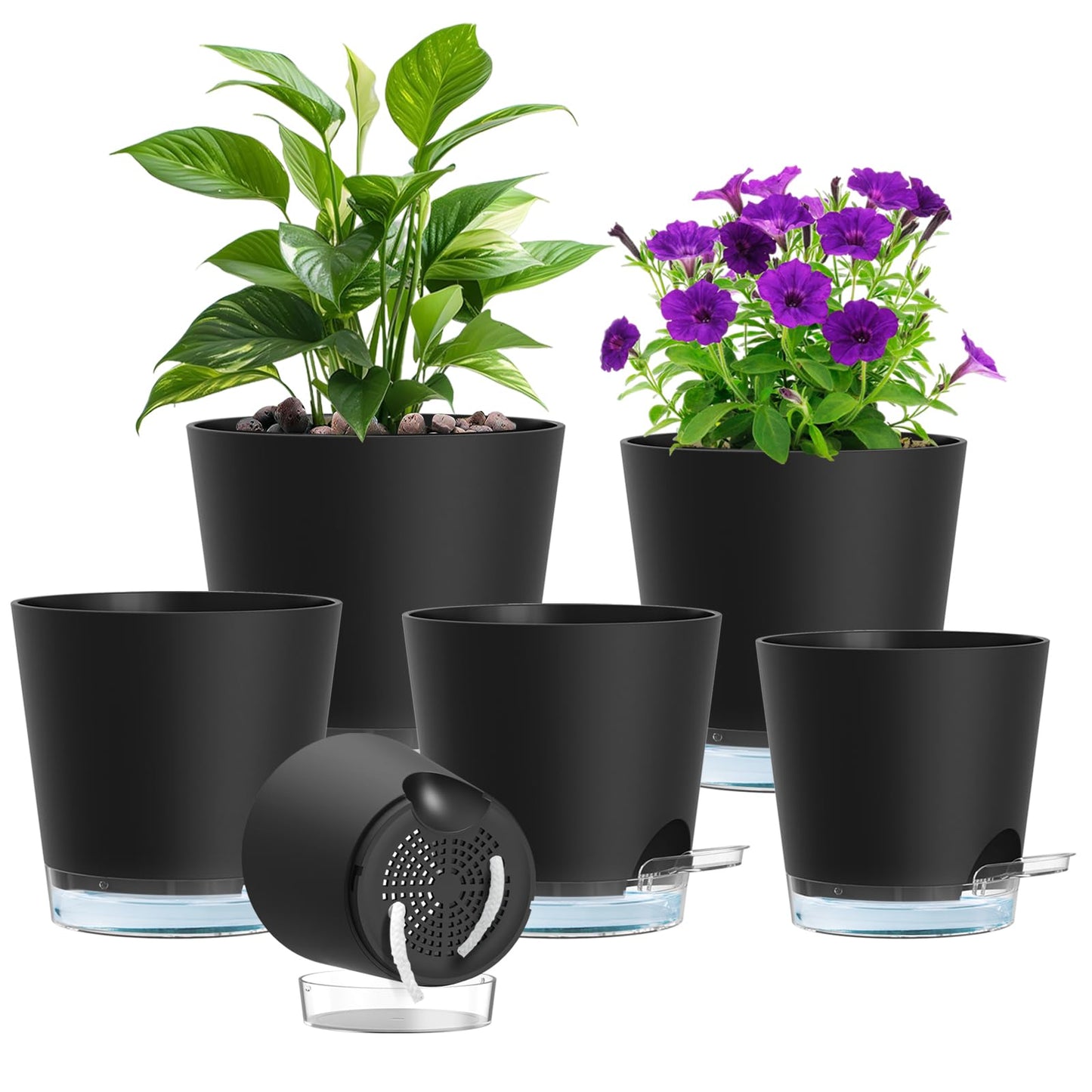 Meowell Self Watering Pots Pack of 6 – Different Size 4" to 7" Indoor Plant Pots with Drainage Holes and Clear Reservoir for Visible Water Level, Plastic Wicking Planters for House Plants, Black