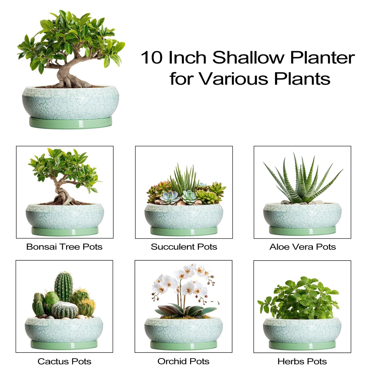 EPFamily Bonsai Pots - 10 Inch Ceramic Succulent Pot with Drainage Hole and Plant Saucer, Succulent Planters for Indoor Outdoor, Round Planter Bowl, Shallow Planter, Home Decor, Gardening Gift, Green