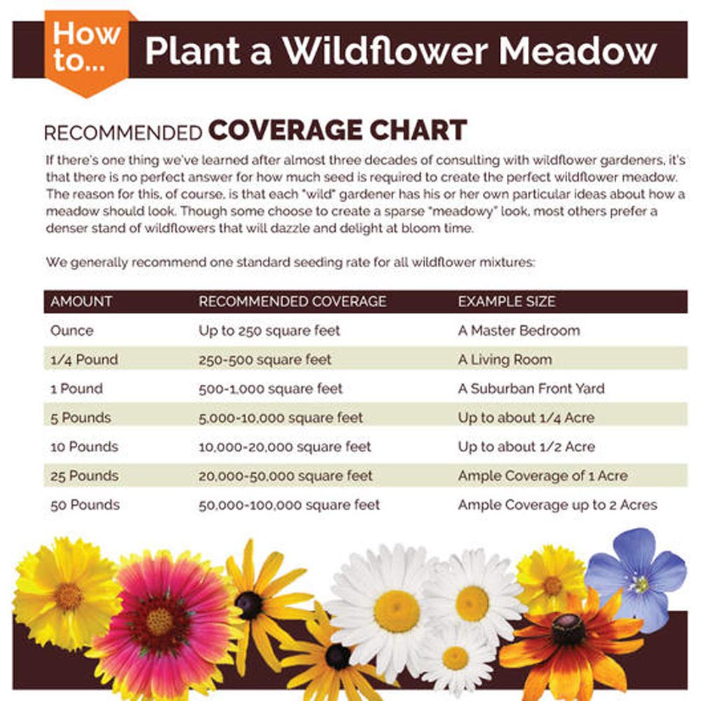 UtopiaSeeds Blue Wildflower Seed Mix - Attracts Hummingbirds and Butterflies - Easy to Grow